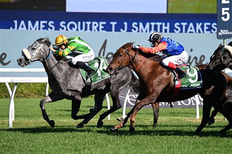 T J Smith Stakes 2024 .